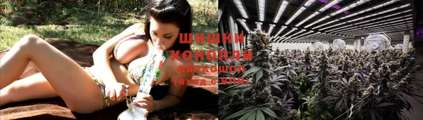 прущие крисы Беломорск